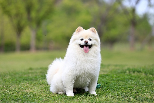 [TEST] TEST
